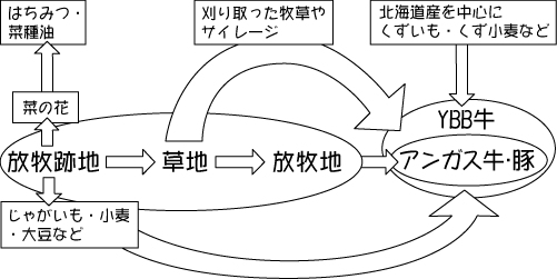 ���_�t�@�[���̏z�^�{�Y�̊T���}