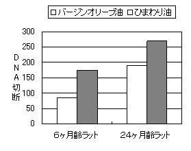 DNA�Q�d���ؒf�ƍR�_���\�̊֌W�}