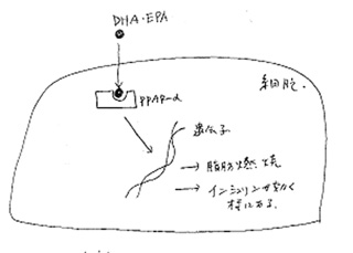 インシュリン抵抗性の図式