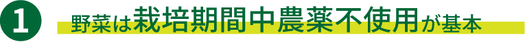 野菜は栽培期間中農薬不使用が基本