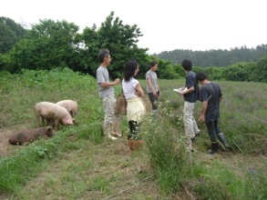 ぶぅふぅうぅ農園の牧場