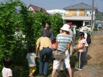 石上農園を見学している参加者たち