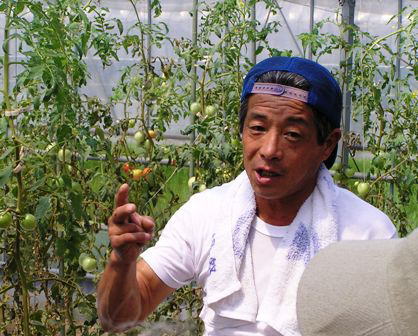 大橋農園の大橋さん
