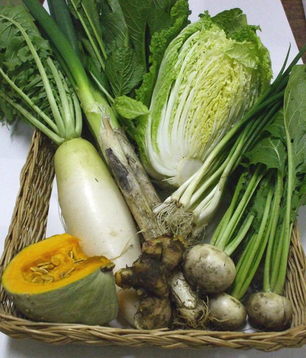 阿智ゆうきの風野菜セット例 大根、白菜、小かぶ、かぼちゃ4分の1、しょうが、細ねぎ