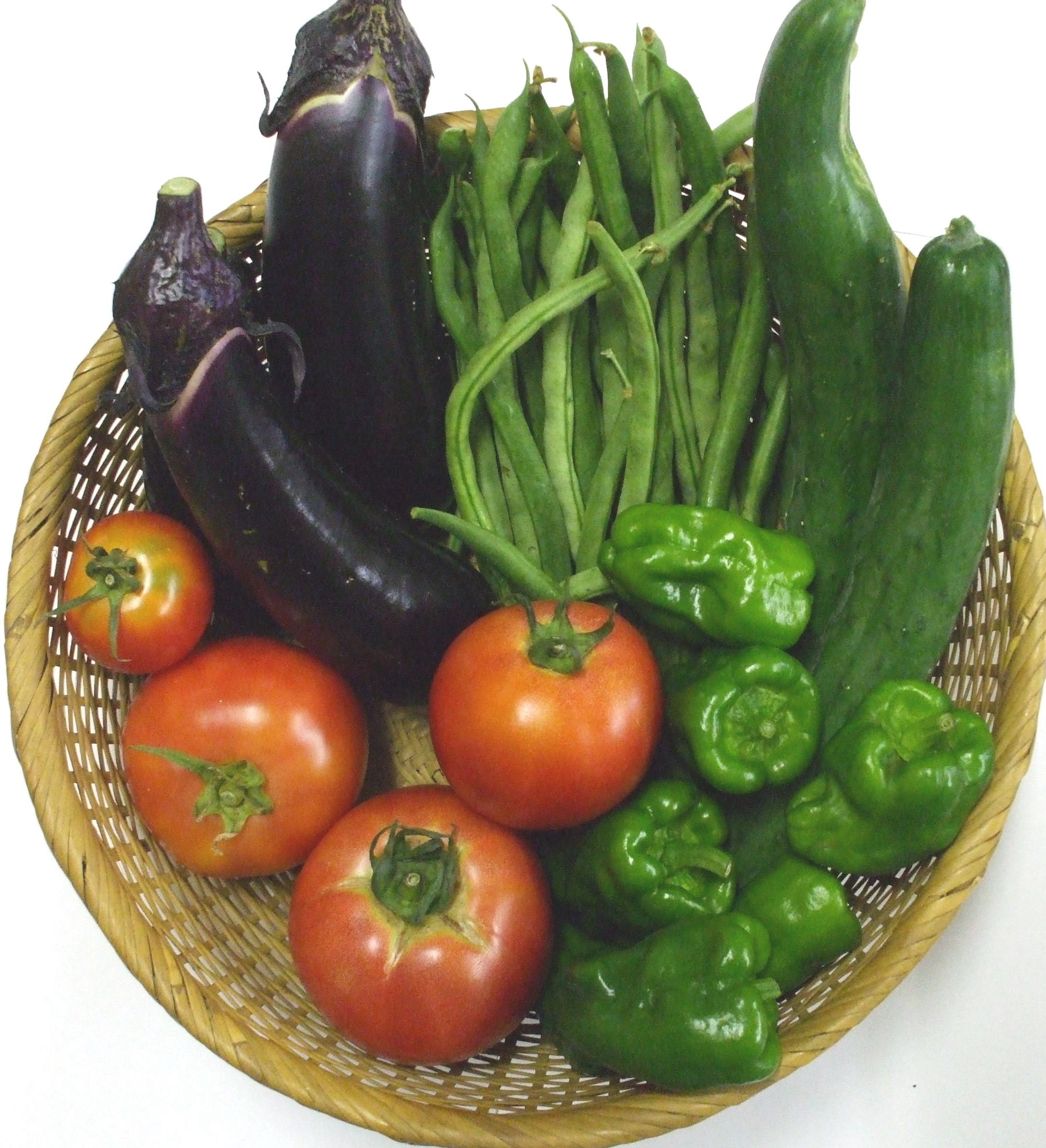地元の旬の野菜セット例 なす、いんげん、きゅうり、ピーマン、トマト