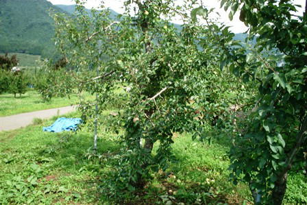 ○○○○○○○○イメージ