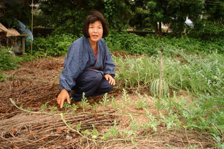 ○○○○○○○○イメージ