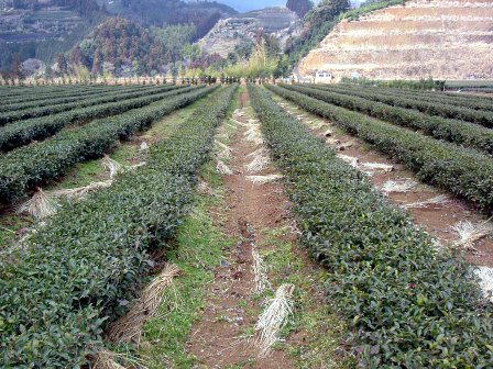 ○○○○○○○○イメージ