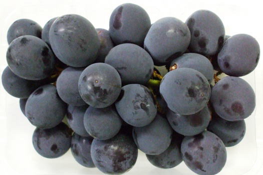 ○○○○○○○○イメージ