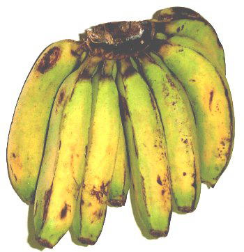 ○○○○○○○○イメージ