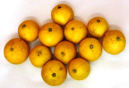 ○○○○○○○○イメージ