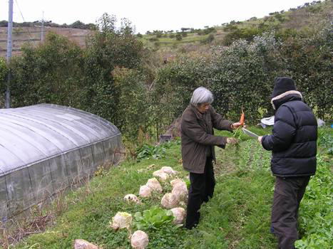 ○○○○○○○○イメージ